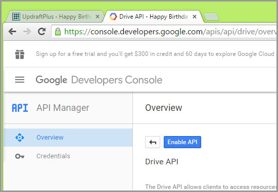 enable google api