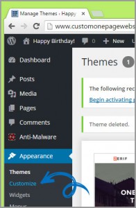 customize wordpress theme appearance