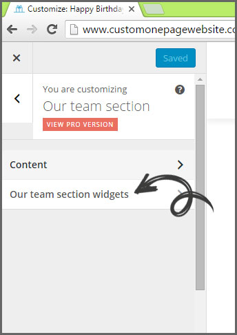 our team section widgets